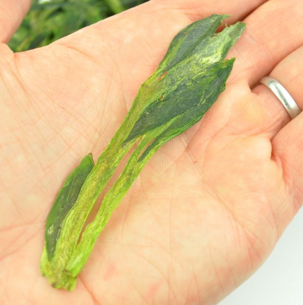 Tai Ping Hou Kui Green Tea from Anhui Online - Image 4